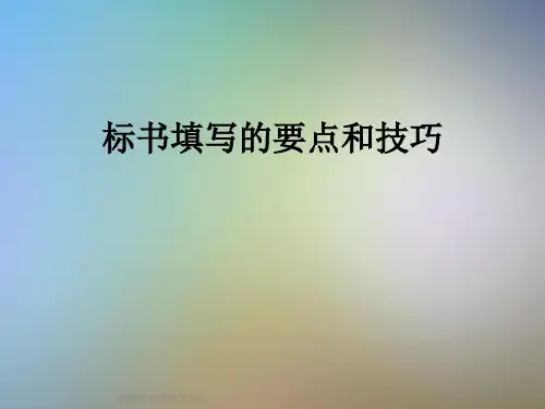 标书填写的要点和技巧