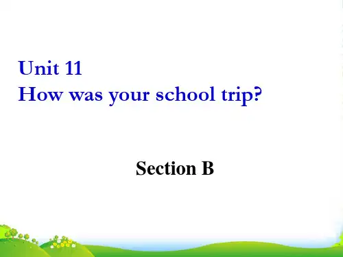 新人教版七年级英语下册Unit 11 How was your school trip Sectio