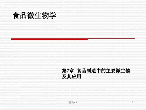 食品制造中的主要微生物及其应用