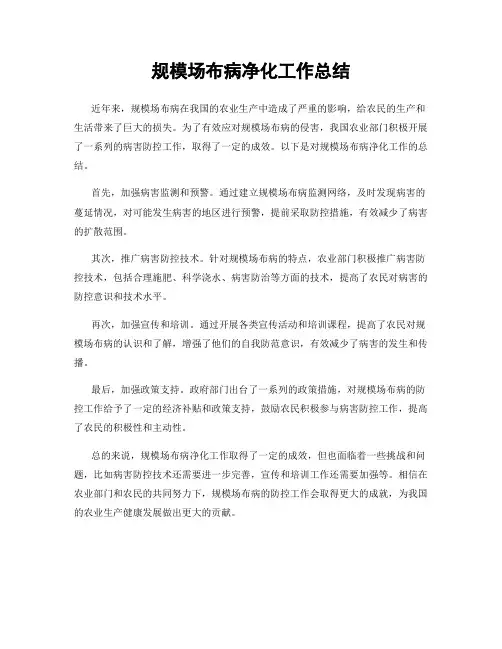 规模场布病净化工作总结