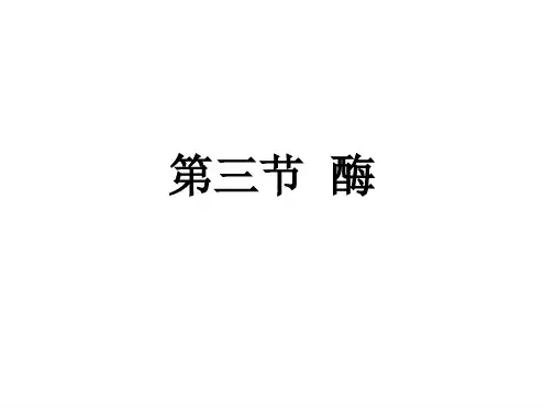 高中生物学浙科版 必修一 33 酶 课件