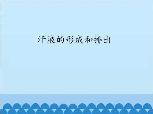 鲁科版七年级上册生物  汗液的形成和排出课件 