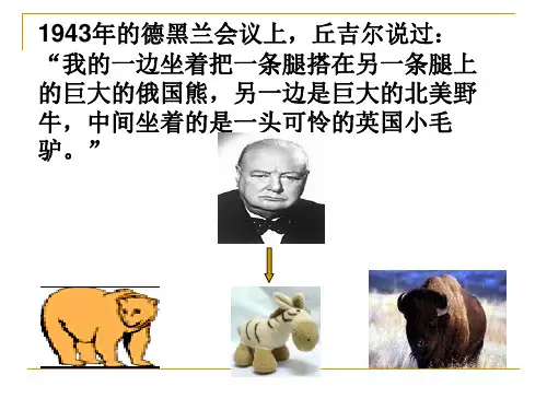 美苏冷战(1)
