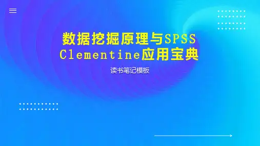 数据挖掘原理与SPSS Clementine应用宝典