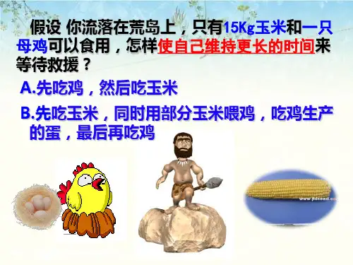 人教版《生态系统的能量流动》PPT完美课件1