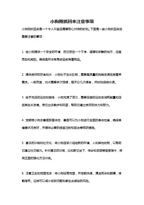小狗刚抓回来注意事项