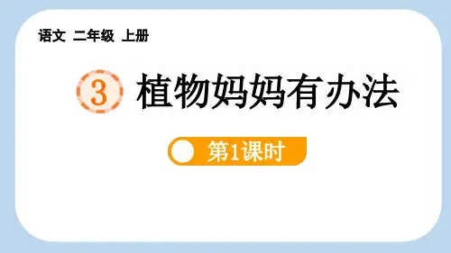 最新统编部编版语文二年级上册《植物妈妈有办法(第1课时)》精品ppt教学课件