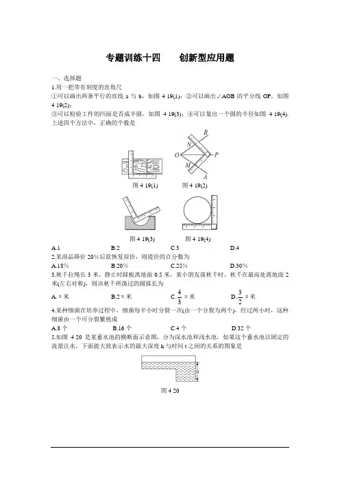 中考总复习数学专题优化训练：创新型应用题