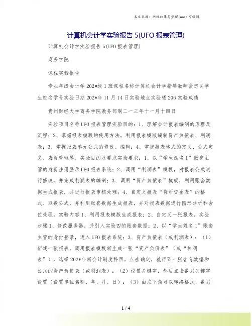 计算机会计学实验报告5(UFO报表管理)