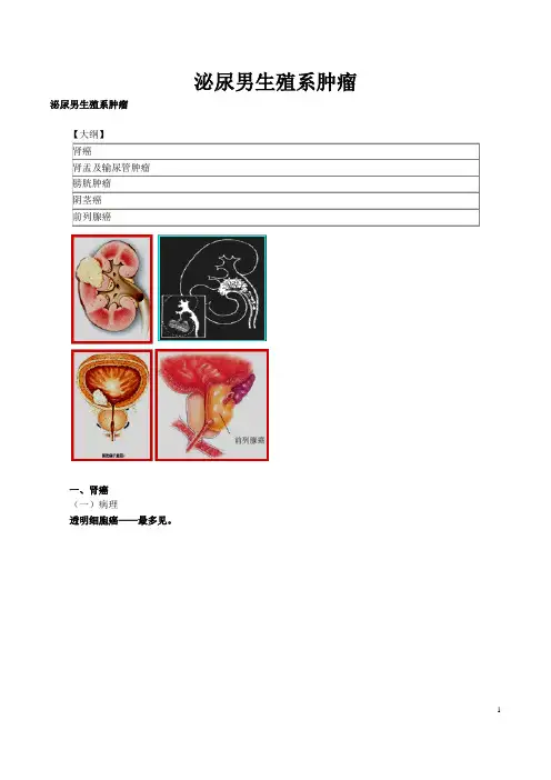 泌尿男生殖系肿瘤