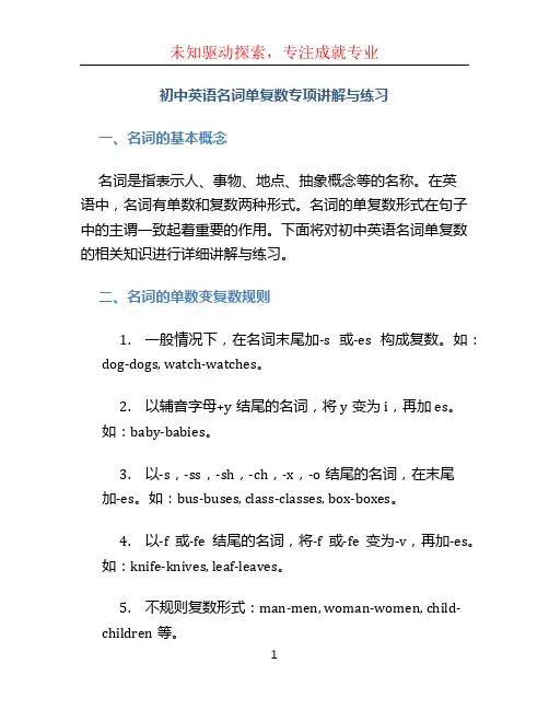 初中英语名词单复数专项讲解与练习