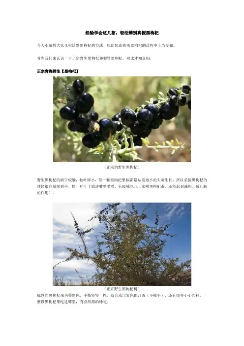 经验学会这几招,轻松辨别真假黑枸杞