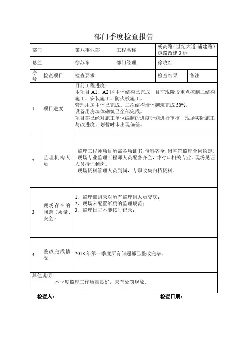 项目检查汇总表