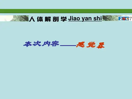 眼球基本解剖