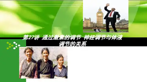 第27讲 激素调节 神经调节与体液调节的关系
