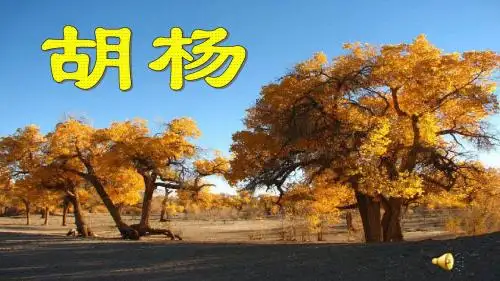湘教小学语文六年级下册《18胡杨》PPT课件
