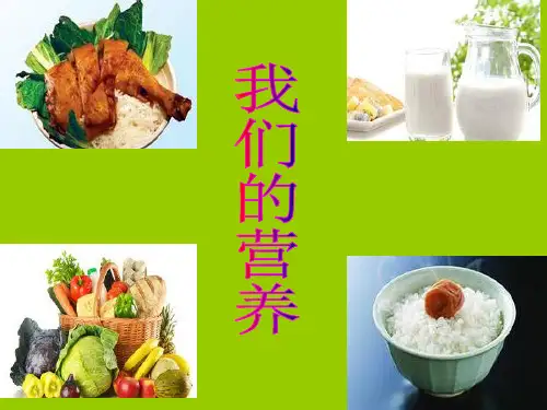 四年级上册科学课件-1.2我们的营养_青岛版(六年制,三起) (共19张PPT)