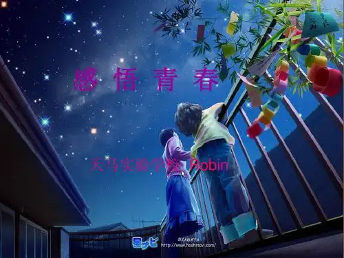感悟青春