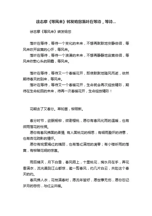 徐志摩《等风来》转发给您落叶在等待，等待...