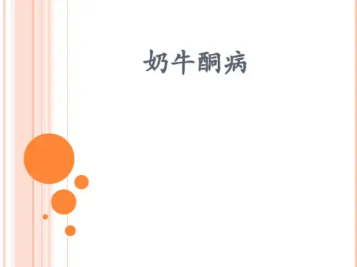 奶牛酮病ppt课件