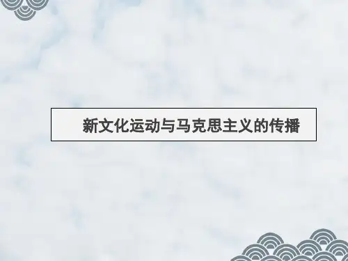 高三历史一轮复习精品课件6：新文化运动与马克思主义的传播