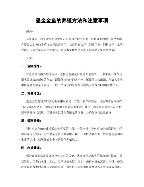 鎏金金鱼的养殖方法和注意事项