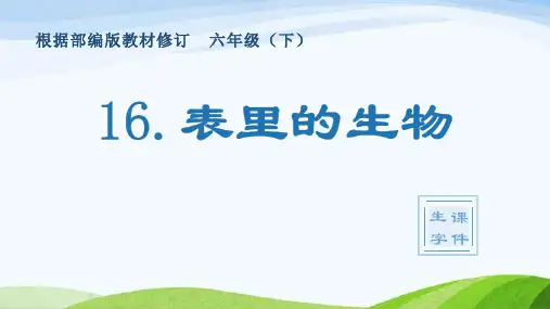 部编版六年级下册语文16.表里的生物(生字教学课件)