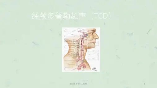 经颅多普勒TCD讲解课件