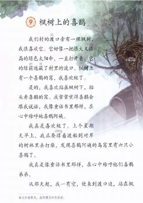 部编版二年级语文下册《枫树上的喜鹊》教案设计