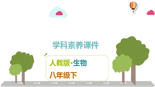 人教版生物八年级下册第七单元第三章  生命起源和生物进化 课件(共25张PPT)