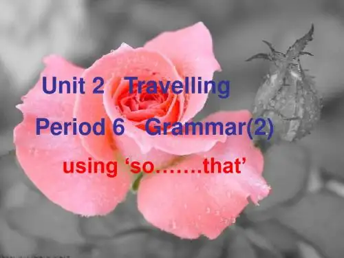 牛津译林版英语八下《Unit 2 Travelling》ppt课件(9)