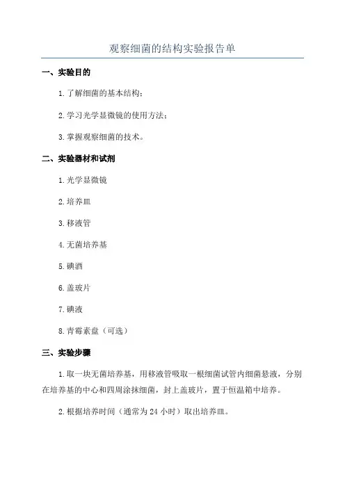 观察细菌的结构实验报告单