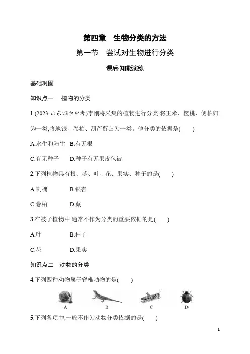 2.4.1尝试对生物进行分类 同步练习(含答案)人教版(2024)生物七年级上册