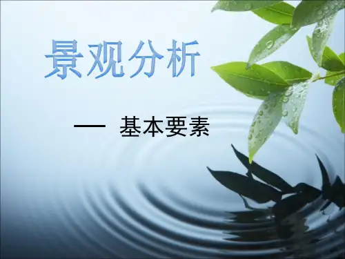 景观分析——基本要素