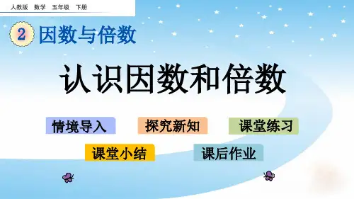 人教版五年级数学下册第二单元课件