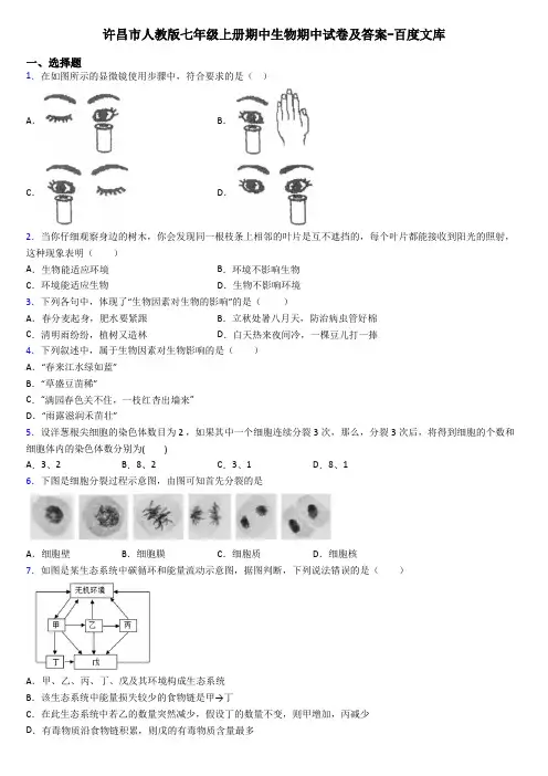 许昌市人教版七年级上册期中生物期中试卷及答案-百度文库