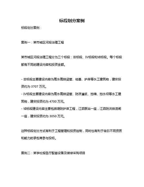 标段划分案例