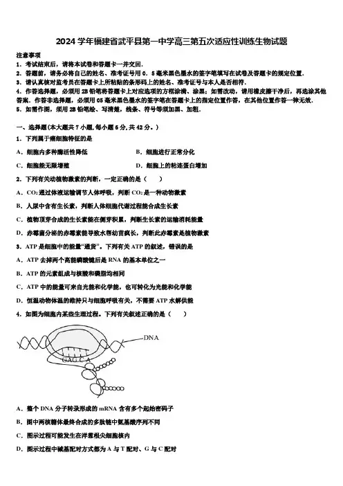 2024学年福建省武平县第一中学高三第五次适应性训练生物试题含解析