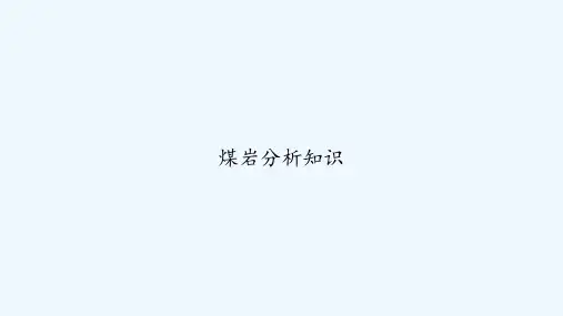 煤岩分析知识 PPT