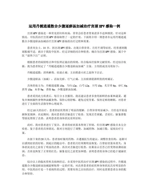 运用丹栀逍遥散合少腹逐瘀汤加减治疗宫颈HPV感染一例