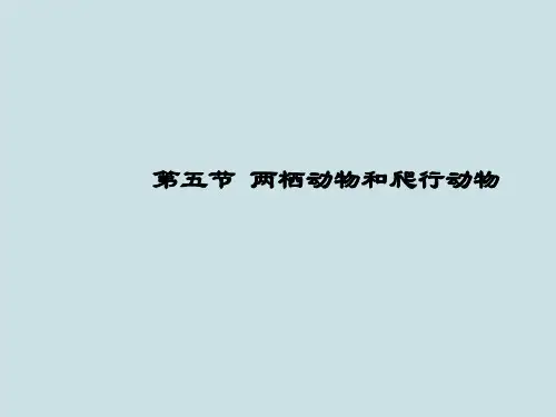 八年级生物上册第五单元第一章第五节《两栖动物和爬行动物》PPT课件B