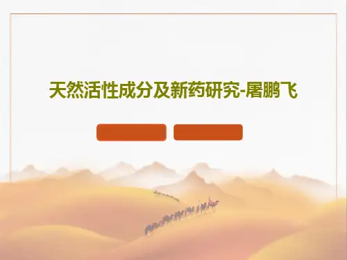 天然活性成分及新药研究-屠鹏飞17页PPT