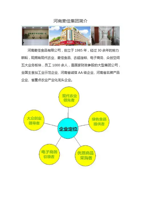 河南麦佳集团简介