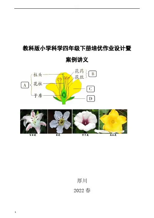四年级下册科学第三单元《作业设计》第1——4课习题答案解析(教科版)