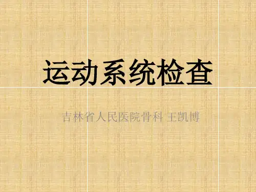 运动理学检查