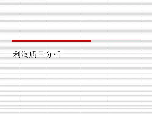 利润质量分析
