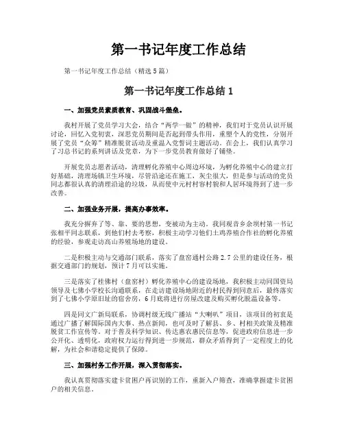 第一书记年度工作总结