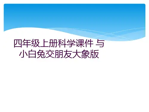 四年级上册科学课件 与小白兔交朋友大象版 