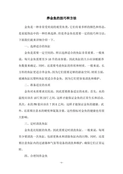 养金鱼的技巧和方法