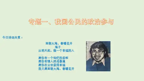 高考思想政治二轮专题复习课件：专题一公民的政治生活
